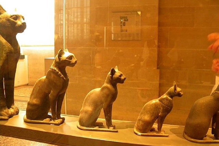 Муур бурхад: Эртний соёлын 7 муурны бурхад